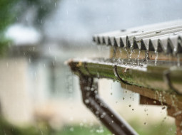 Rainwater on roof