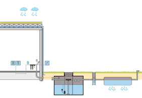 Groen dak met regenwatersysteem en infiltratiesysteem