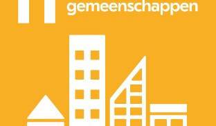 SDG 11