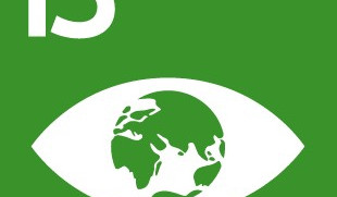 SDG 13
