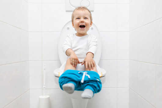 Toilet doorspoelen met regenwater
