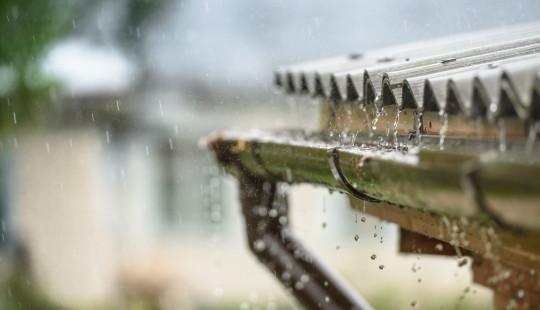 Rainwater on roof